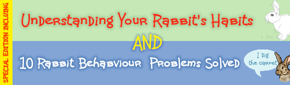 Special Offer: Understanding Your Rabbit's Habits & 10 Rabbit Behaviour PRoblems Solved