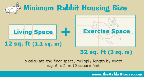 rabbit cage measurements