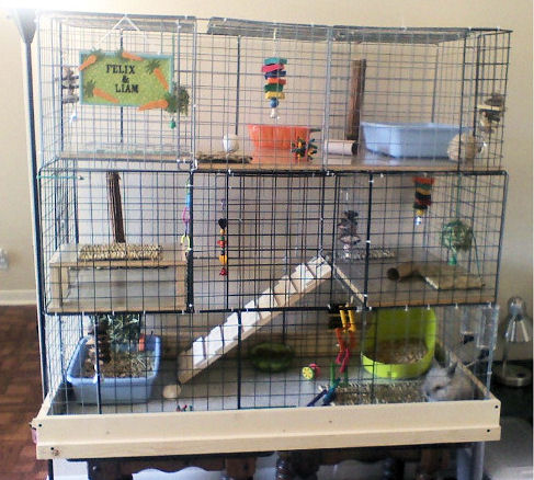 diy indoor rabbit enclosure