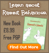 New Rabbit Behaviour Book