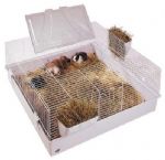 Square hotsell rabbit cage