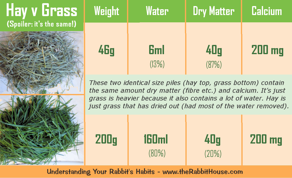 comparison of calcium in hay and grass