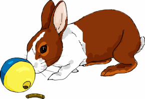 rabbit treatball