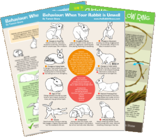 free rabbit care posters