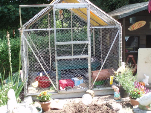 greenhouse rabbit run