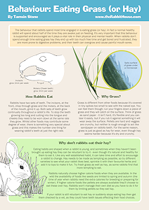 Behaviour: Eating Grass (or hay) - looks at the behaviours around eating hay