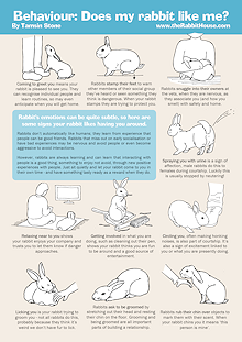 Behaviour: Does my rabbit like me - signs your rabbit enjoys your company