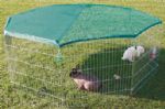 Rabbit Enclosure with Net