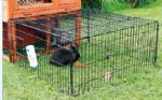 Rabbit Enclosure with Top (Black)